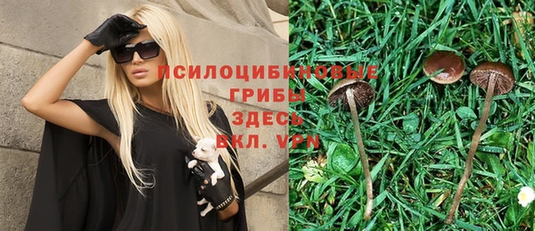 а пвп мука Нея