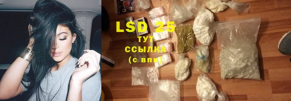 дмт Новозыбков