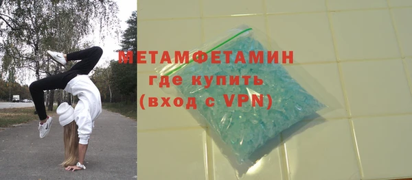 сатива Новодвинск