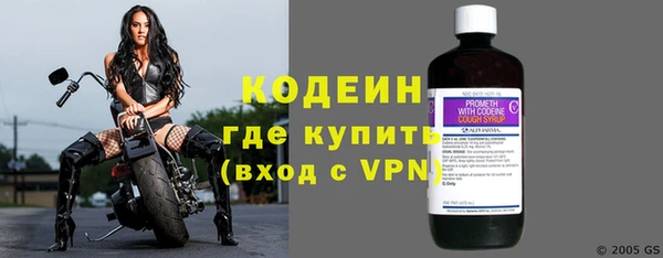сатива Новодвинск