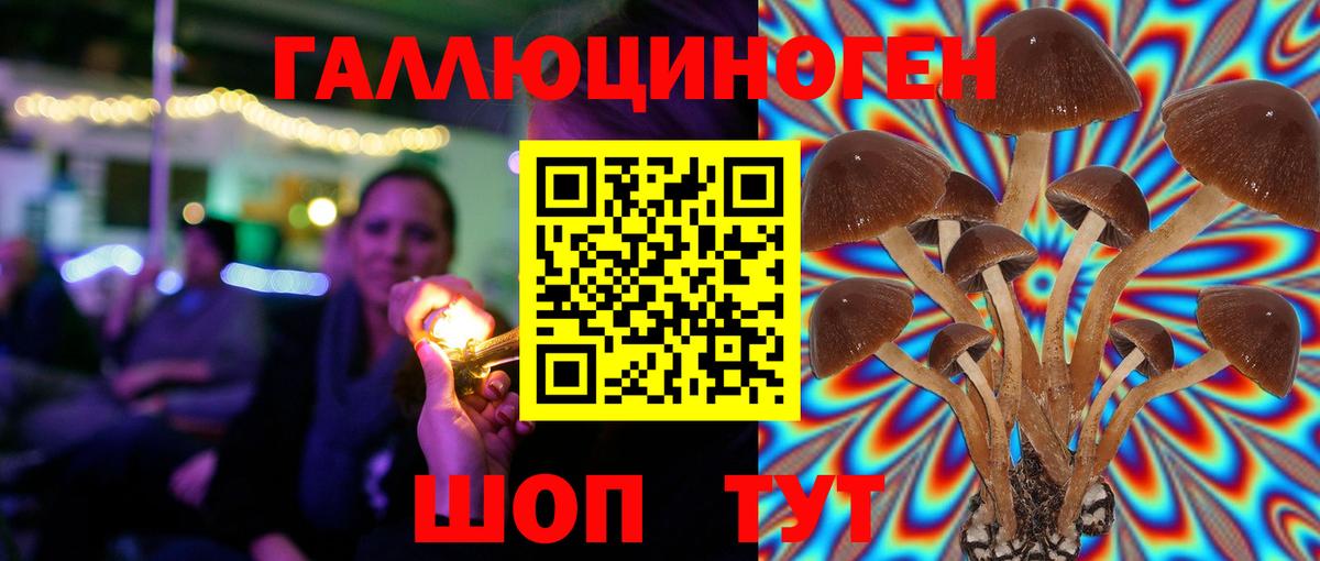 Полысаево  Галлюциногенные грибы мицелий  Вход с VPN 