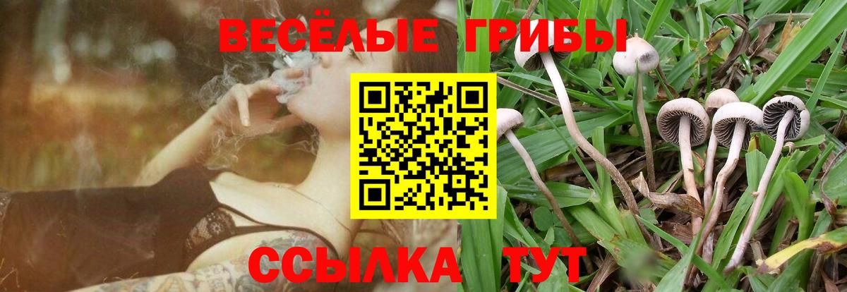 Лсд 25 Полысаево