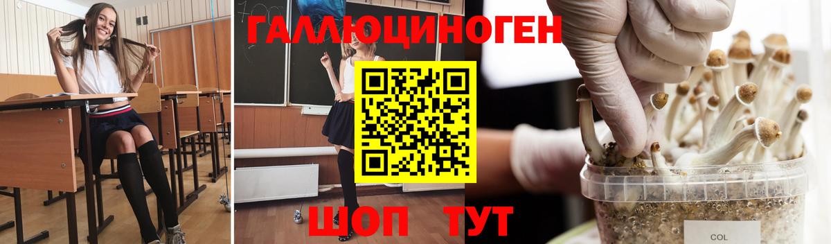 Псилоцибиновые грибы GOLDEN TEACHER  закладки  Полысаево  Галлюциногенные грибы мицелий 